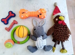 Dog toys, chew toys for puppies, and durable toys for adult dogs.