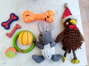 Dog toys, chew toys for puppies, and durable toys for adult dogs.
