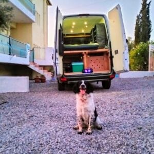 Dog and Van