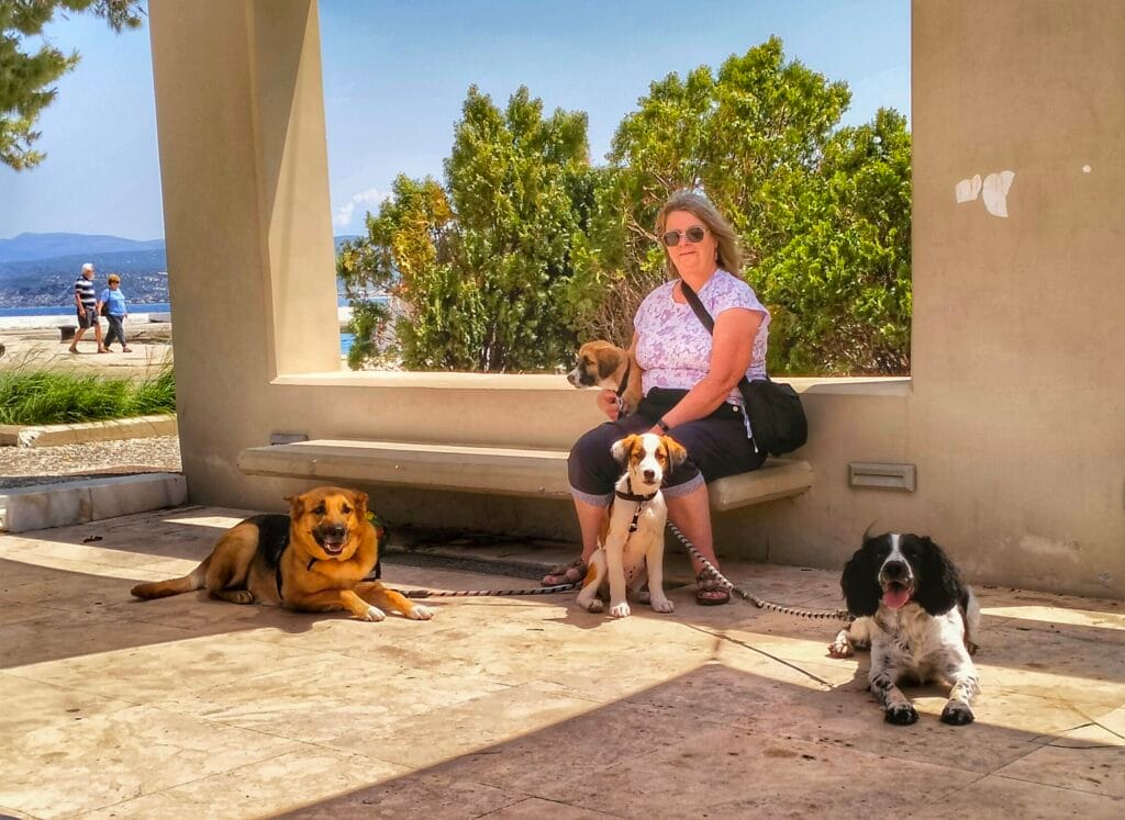 Travelling with dogs