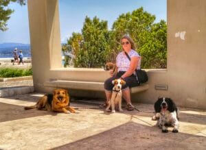 Travelling with dogs