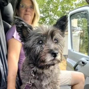 lady and dog in a car
