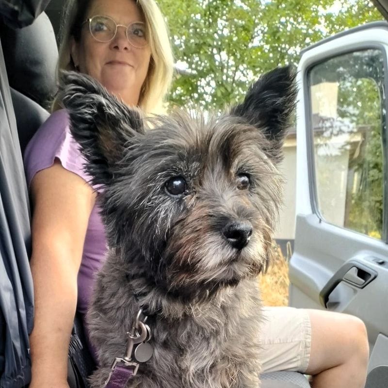 lady and dog in a car
