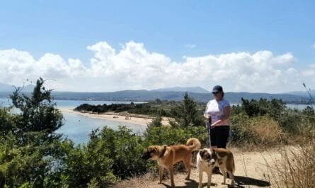 Hiking with my dog in Greece