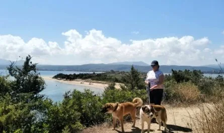 Hiking with my dog in Greece