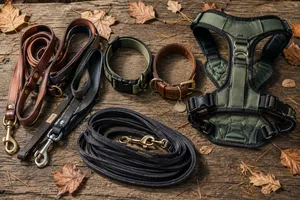 Dog leashes, collars, harnesses, and long lines for walks.