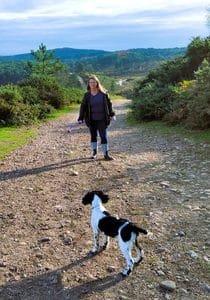 Autumn hiking with dogs on a countryside trail